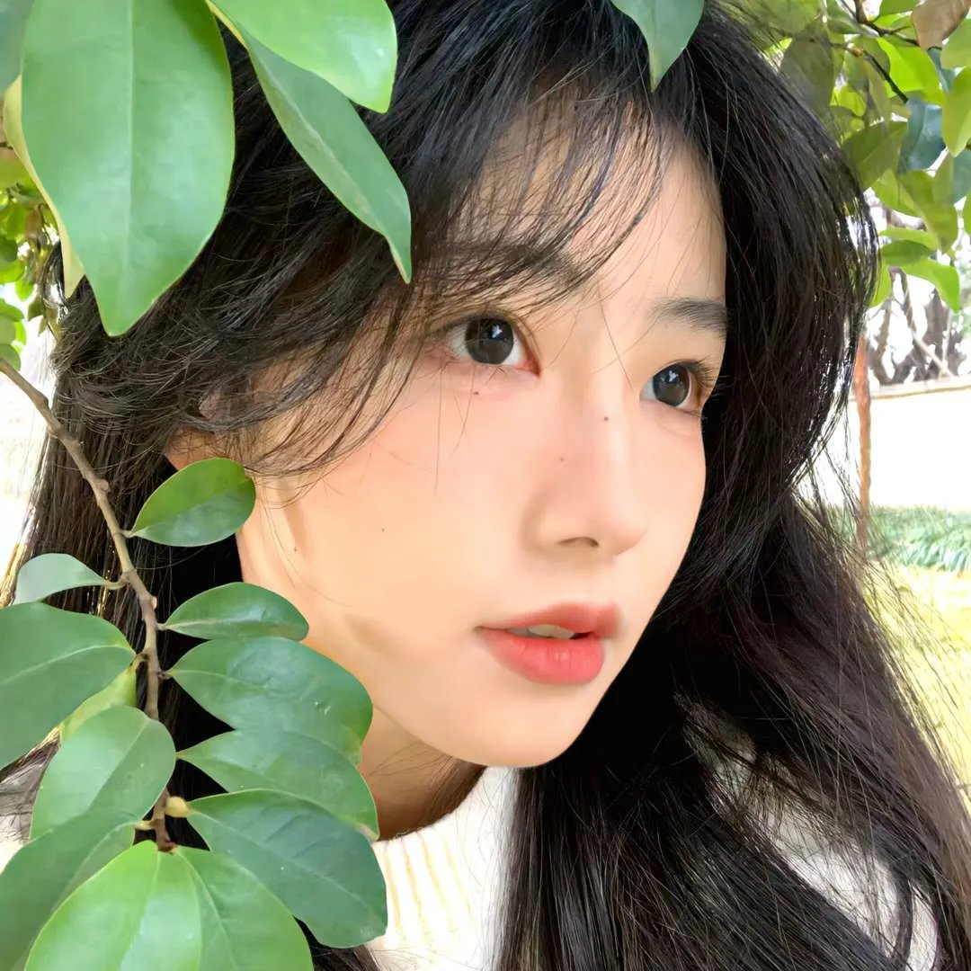 古墓迷途